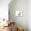 Domestic Cat, Somali, kitten, sitting-Chris Brignell-Mounted Photographic Print displayed on a wall
