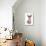 Domestic Cat, Sphynx, kitten, sitting-Chris Brignell-Stretched Canvas displayed on a wall