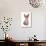 Domestic Cat, Sphynx, kitten, sitting-Chris Brignell-Photographic Print displayed on a wall