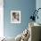 Domestic Cat, Stray Siamese Female with Single Kitten-Jane Burton-Framed Photographic Print displayed on a wall