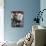 Domestic Cat, Tabby and Siver Chinchilla Persian Kittens, by Watering Can Among Bellflowers-Jane Burton-Photographic Print displayed on a wall