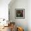 Domestic Cat, Tabby Kitten Among American Pillar Roses-Jane Burton-Framed Photographic Print displayed on a wall