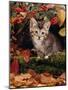 Domestic Cat, Tabby Kitten Among Autumn Leaves and Cottoneaster Berries-Jane Burton-Mounted Photographic Print