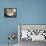 Domestic Cat, Tabby Mother and Her Sleeping 2-Week Kitten-Jane Burton-Framed Stretched Canvas displayed on a wall