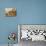 Domestic Cat, Three Kittens in Cot with Teddy Bears-Jane Burton-Photographic Print displayed on a wall