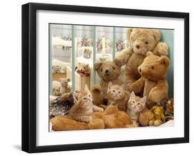 Domestic Cat, Three Kittens in Cot with Teddy Bears-Jane Burton-Framed Photographic Print
