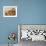 Domestic Cat, Three Kittens in Cot with Teddy Bears-Jane Burton-Framed Photographic Print displayed on a wall