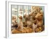 Domestic Cat, Three Kittens in Cot with Teddy Bears-Jane Burton-Framed Photographic Print