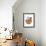 Domestic Cat, Tonkinese, blue tabby mink, three male kittens-Chris Brignell-Framed Photographic Print displayed on a wall