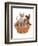 Domestic Cat, Tonkinese, blue tabby mink, three male kittens-Chris Brignell-Framed Photographic Print