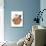 Domestic Cat, Tonkinese, blue tabby mink, three male kittens-Chris Brignell-Stretched Canvas displayed on a wall