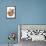 Domestic Cat, Tonkinese, blue tabby mink, three male kittens-Chris Brignell-Framed Stretched Canvas displayed on a wall