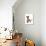 Domestic Cat, Tonkinese, brown mink, female kitten-Chris Brignell-Photographic Print displayed on a wall
