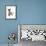 Domestic Cat, Tonkinese, brown mink, female kitten-Chris Brignell-Framed Photographic Print displayed on a wall