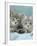 Domestic Cat, Two 8-Week Blue Tabby Kittens-Jane Burton-Framed Photographic Print