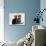 Domestic Cat, Two 8-Week Tabby Kittens, Male and Female-Jane Burton-Photographic Print displayed on a wall