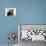 Domestic Cat, Two 8-Week Tabby Kittens, Male and Female-Jane Burton-Photographic Print displayed on a wall