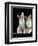 Domestic Cat, Two 8-Week Tabby Tortoiseshell and White Kittens-Jane Burton-Framed Premium Photographic Print