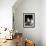 Domestic Cat, Two 8-Week Tabby Tortoiseshell and White Kittens-Jane Burton-Framed Photographic Print displayed on a wall