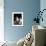 Domestic Cat, Two 8-Week Tabby Tortoiseshell and White Kittens-Jane Burton-Framed Photographic Print displayed on a wall