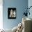 Domestic Cat, Two 8-Week Tabby Tortoiseshell and White Kittens-Jane Burton-Photographic Print displayed on a wall