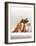 Domestic Cat, Two Fluffy Ginger-And-White Kittens with Chinese Lanterns in Brass Jug-Jane Burton-Framed Photographic Print