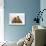 Domestic Cat, Two Ginger Kittens and a Tabby with Ginger Teddy Bear-Jane Burton-Photographic Print displayed on a wall