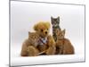 Domestic Cat, Two Ginger Kittens and a Tabby with Ginger Teddy Bear-Jane Burton-Mounted Photographic Print