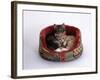 Domestic Cat, Two Kittens in Oval Bed-Jane Burton-Framed Photographic Print