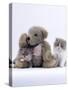 Domestic Cat, Two Persian Kittens with Teddy Bear-Jane Burton-Stretched Canvas