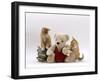 Domestic Cat, Two Red Burmese-Cross Kittens with Teddy Bear-Jane Burton-Framed Photographic Print