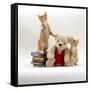 Domestic Cat, Two Red Kittens with Cream Teddy Bear in Red Waistcoat-Jane Burton-Framed Stretched Canvas