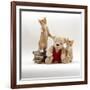 Domestic Cat, Two Red Kittens with Cream Teddy Bear in Red Waistcoat-Jane Burton-Framed Photographic Print