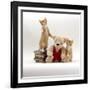 Domestic Cat, Two Red Kittens with Cream Teddy Bear in Red Waistcoat-Jane Burton-Framed Photographic Print