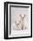 Domestic Cat, Two White Kittens, Persian-Cross Sisters, One Amber and One Odd-Eyed-Jane Burton-Framed Premium Photographic Print