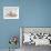 Domestic Cat, Two White Persian-Cross Kittens, One Odd-Eyed-Jane Burton-Framed Photographic Print displayed on a wall