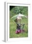 Domestic Cat, white and tabby kitten, on miniature sun lounger under umbrella in garden-Angela Hampton-Framed Photographic Print