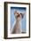 Domestic Cat, white and tortoiseshell kitten, looking up-Angela Hampton-Framed Photographic Print