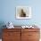 Domestic Cat, with Two of Her 6-Week Kittens-Jane Burton-Framed Photographic Print displayed on a wall