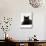 Domestic Cat, Young Black Male-Jane Burton-Mounted Photographic Print displayed on a wall