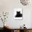 Domestic Cat, Young Black Male-Jane Burton-Photographic Print displayed on a wall