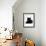 Domestic Cat, Young Black Male-Jane Burton-Framed Photographic Print displayed on a wall