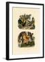 Domestic Chicken, 1833-39-null-Framed Giclee Print