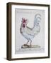 Domestic Chicken (Gallus Gallus), Coloured from History of Birds, 1767, Table 215-null-Framed Giclee Print