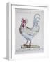 Domestic Chicken (Gallus Gallus), Coloured from History of Birds, 1767, Table 215-null-Framed Giclee Print