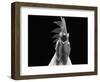 Domestic Chicken, White Leghorn Cockerel Crowing-Jane Burton-Framed Premium Photographic Print