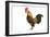 Domestic Chicken-null-Framed Photographic Print