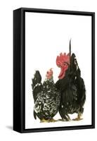 Domestic Chickens Nagasaki Breed-null-Framed Stretched Canvas