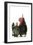 Domestic Chickens Nagasaki Breed-null-Framed Photographic Print
