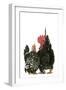 Domestic Chickens Nagasaki Breed-null-Framed Photographic Print